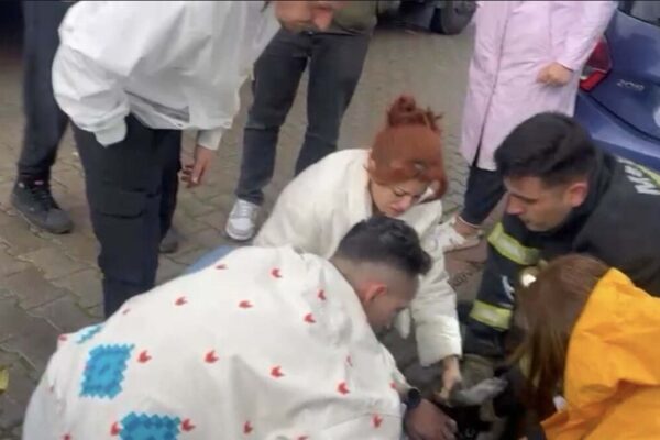Yangında 2 köpekten biri öldü, diğeri kalp masajıy...