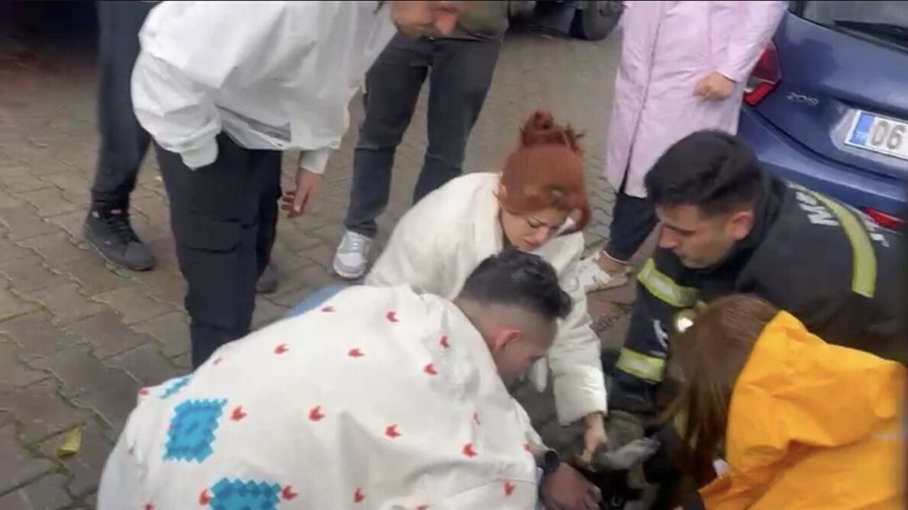 Yangında 2 köpekten biri öldü, diğeri kalp masajıyla yaşama döndürüldü
