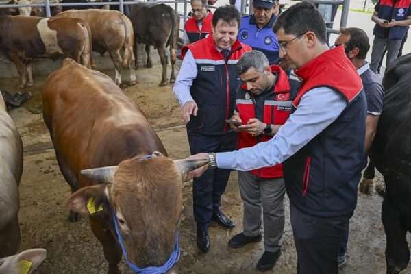 Kurban Bayramı öncesi 4 milyonu aşkın hayvan denet...