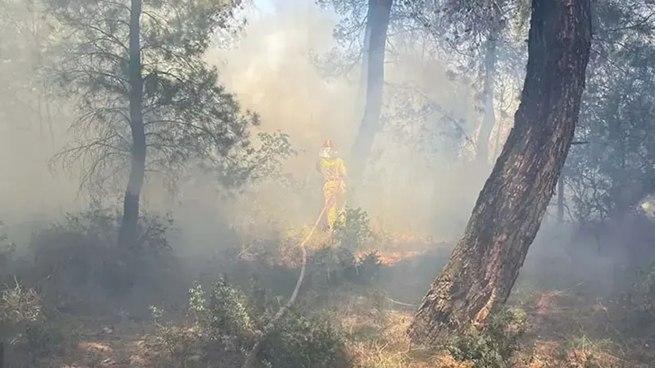 Çanakkale’de tarım arazisinde yangın!