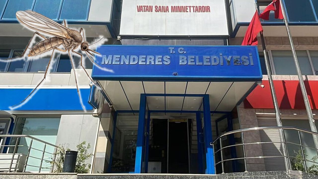 Sinek isyanına enteresan savunma: Önceliğimiz arılar!