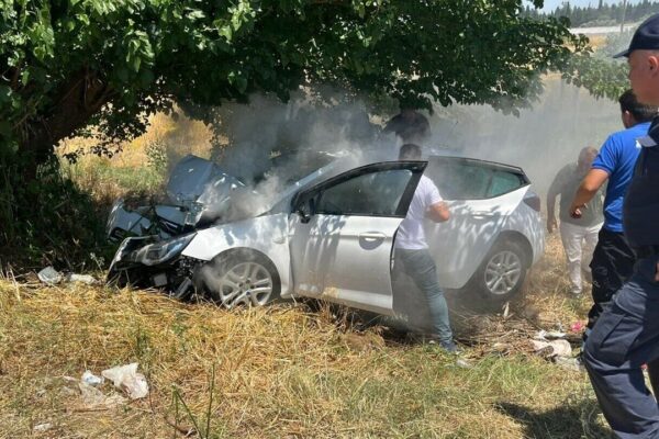 İzmir’de feci kaza: Son sürat ağaca çarptı!