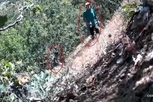 CHP ilçe başkanı ve oğlu fotokapana yakalandı: Ken...